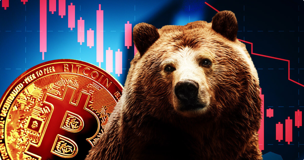 Bitcoin Bear Market is Here: Why Digitap ($TAP) is Still the Best Crypto to Buy