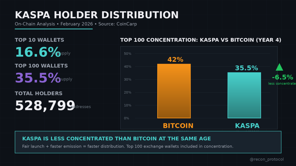 Who Really Owns Kaspa? On-Chain Data Reveals the Truth About Wallet Concentration