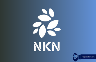 Why Is NKN Price Pumping Right Now? Is It Already Too Late to Buy?