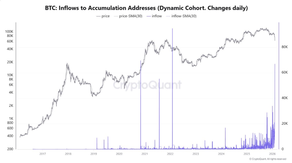 This Is Exactly What Every Bitcoin Bottom Looks Like Before the Next Explosion