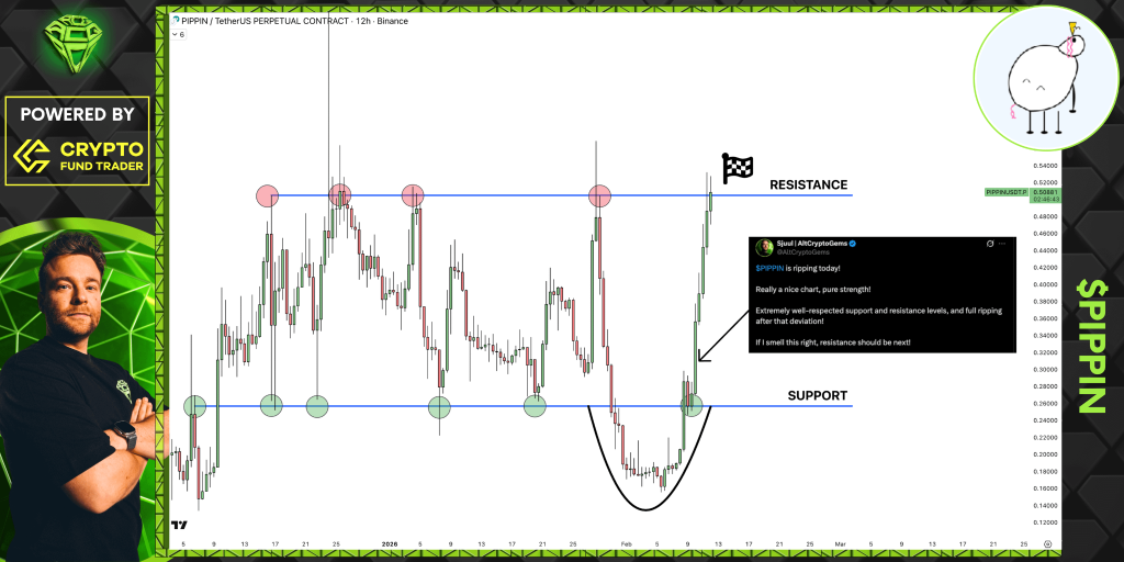 Here’s Why PIPPIN Price Is Pumping Again