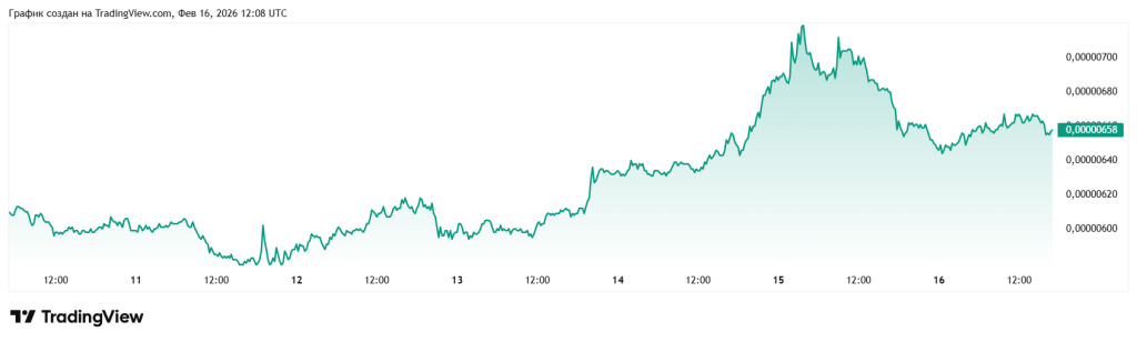 Top 3 Most Accumulated Cheap Cryptocurrencies in 2026