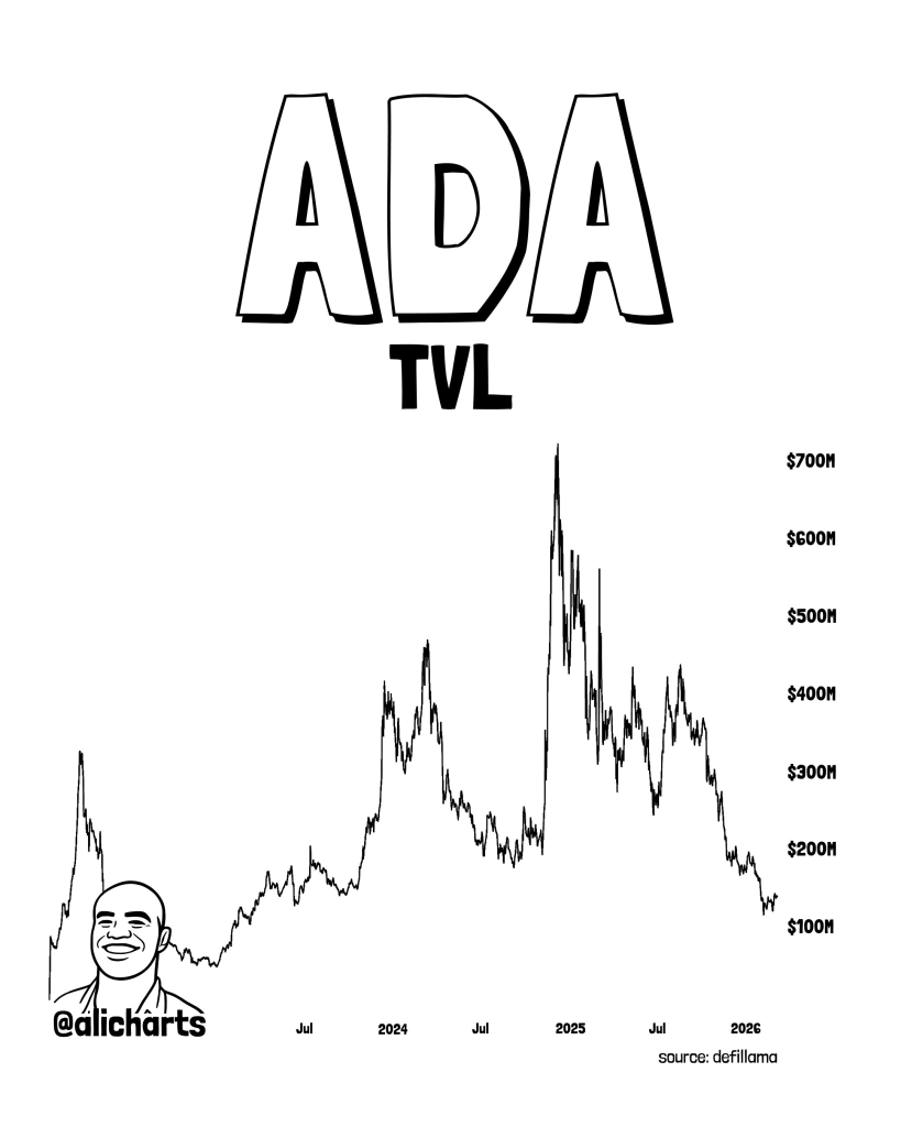 The Most Useless Network in Crypto? Analyst Slams Cardano as Usage Lags Behind Rivals