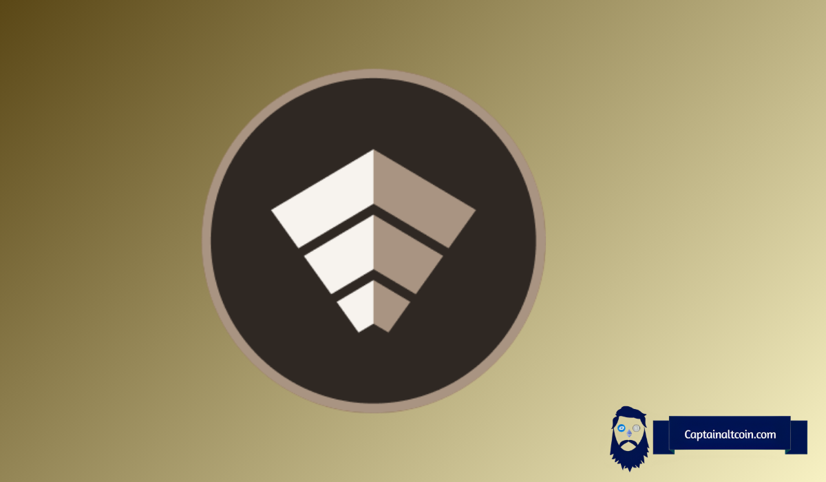 Why Is CHIP Price Pumping?