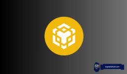 $5,000 in Binance Coin (BNB) Today – Here’s Your Portfolio Value by 2027