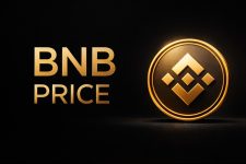 BNB Price Holds $624 as First Leveraged ETF Launches on NYSE and Pepeto Presale Looks Stronger Than BTC, ADA, SOL, and Top Altcoins