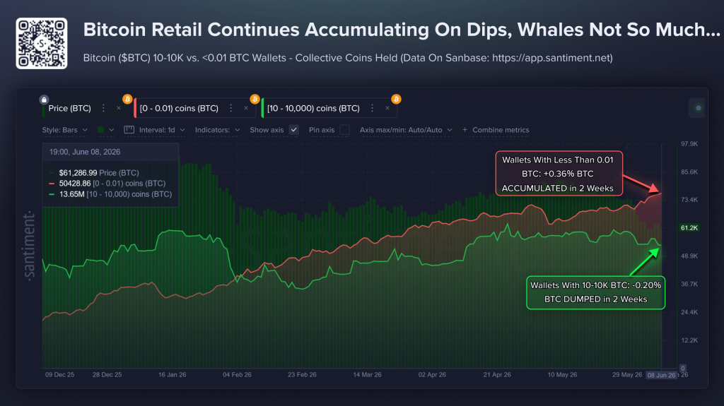 Bitcoin Price News: BTC Crashes as Retail Buys Dips – Iran Strikes Spark Risk‑Off Flight