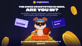 How to Buy Into a Crypto Presale: A Step-by-Step Guide for Beginners