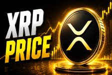 XRP Price Target Set at $10 as Whales Add 330 Million Tokens and Quietly Build the Same Portfolio Twice