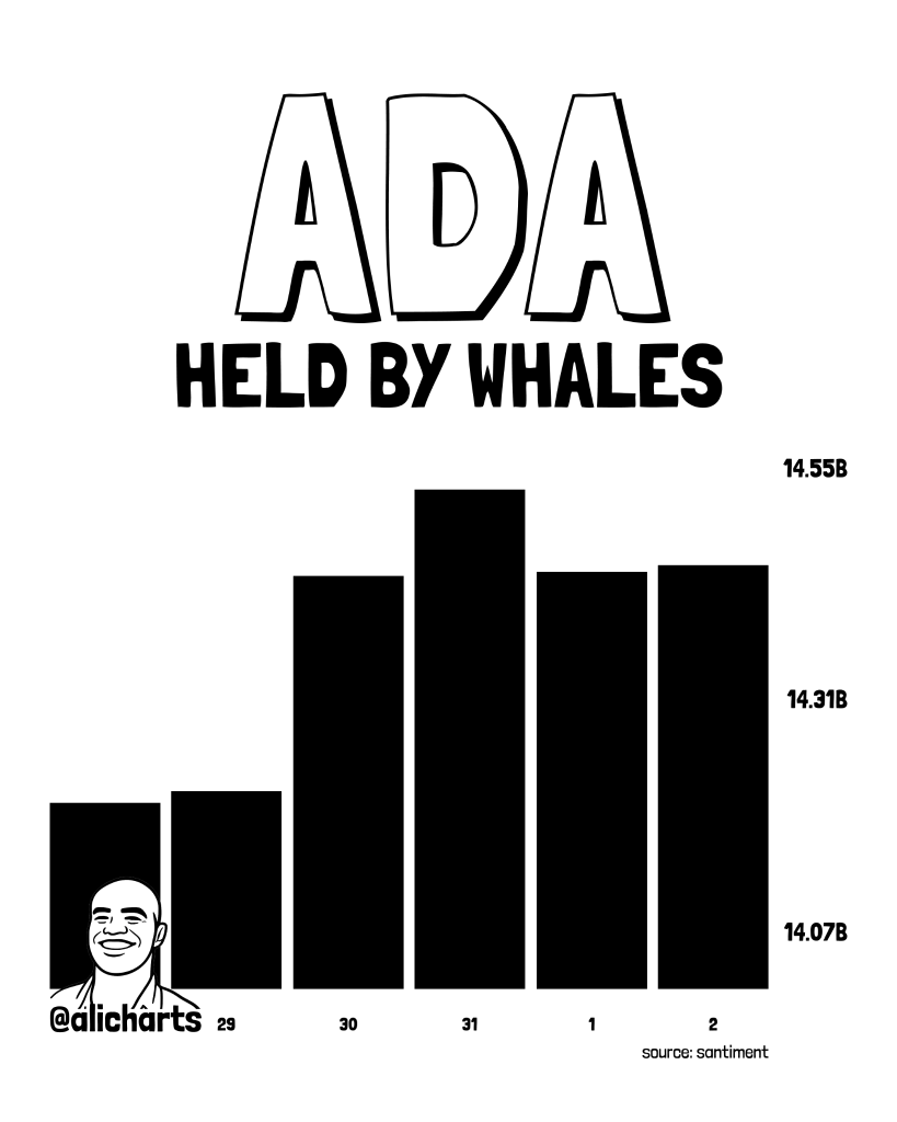 Cardano Price News: Whale Buying Returns as Leios Testnet Puts ADA Back on Watchlists