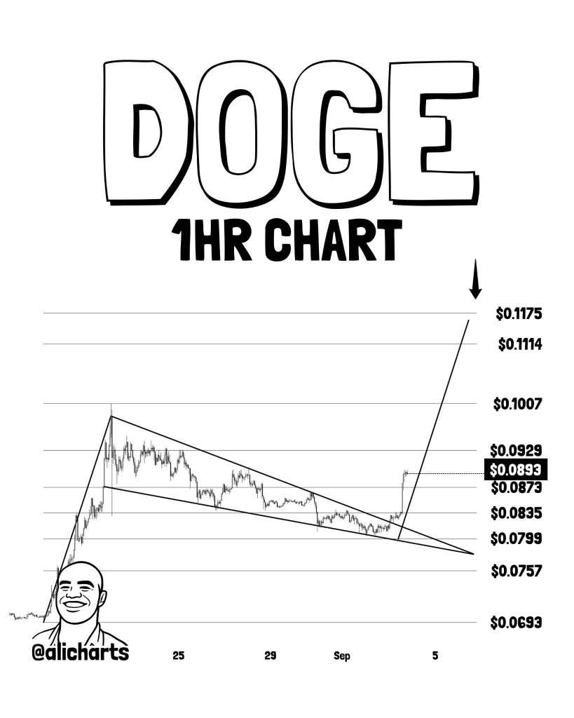 Dogecoin (DOGE) Price Just Flashed a Breakout Signal as Analyst Targets $0.12