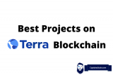 Die besten Projekte auf Terra Blockchain [2022] – Top Terra DeFi Coins