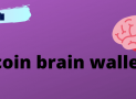 What Is a Bitcoin Brain Wallet and How to Create One for Yourself?
