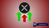 How Will Ripple’s Protocol Help XRP Price Pump