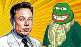 Does Elon Musk’s X Profile Hint at a PEPE Connection?