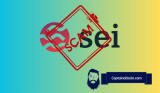 SEI Project Fails to Deliver: Leading Crypto Analyst Calls it a ‘Total Disappointment’ – Here’s His Outlook