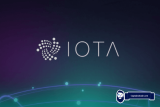 Best Iota Wallets (Hardware, Desktop, Mobile Options Compared)