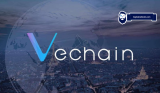 Best VeChain Wallets: Top solutions for storing your VET