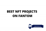 Best NFT Projects on Fantom Blockchain – Top NFTs on Fantom