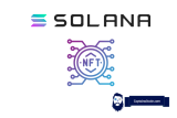 Best Solana NFT Rarity Tools – Solana NFT Rarity Checker