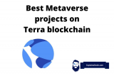 Best Metaverse Projects on Terra – LUNA Metaverse Coins Worth Investing In