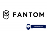 Fantom (FTM) In Trouble: Whales Are Dumping It Due To The Multichain Drama
