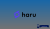Haru Invest Review – Crypto-backed Loans, Interest Rates, APRs, LTV Ratio, Security