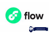 Flow Coin Kurs Prognose 2024 – 2025 – 2030 | FLOW Prognose