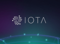 Best Iota Wallets 2020 (Hardware, Desktop, Mobile Options Compared)