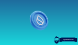 SUI Outpaces Solana, BNB, and Avalanche in Stablecoin Flow: Here’s Why It Matters