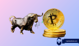 Expert Reveals the Three Phases of a Bitcoin (BTC) Bull Run and the Best Time to Seize a ‘Life-Changing Opportunity’