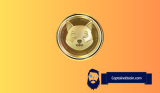 Binance Hearts SHIB – Adds As Margin Trading Collateral. Is Bone Next?