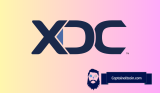 XDC Just Rocketed 12% In a Day – But Crucial Levels Still At Risk of Falling