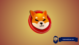 Shiba Inu Price Prediction: $0.000025 Incoming Before 2025?