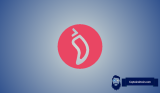 Why Is Chiliz (CHZ) Price Up?