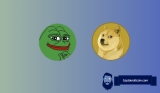 Dogecoin (DOGE) Soars as Tesla Embraces the Meme Coin for Payments; Whale Activity Bolsters PEPE Amid Market Optimism