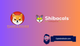 Shibarium Introduces Shibacals: Centered Around Authenticated Collectibles – Is This Good for Shiba’s Ecosystem?