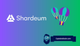 ENS Holders Rewarded with $5,500 Airdrop – How to Claim Shardeum?