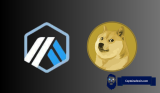 Dogecoin (DOGE) and Arbitrum (ARB) on the Rise: Is This the Time to Invest? Pay Attention To These Key Metrics