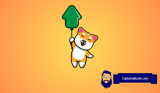 Cryptoland Craves Memes: Shiba Injects Crypto With Much-Needed Excitement