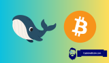 Binance’s $396 Million Move: What’s Behind the Whale-Sized Bitcoin Transaction?