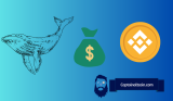 A Whale Has Withdrawn $4 Million from Binance, but Then Purchased These Coins