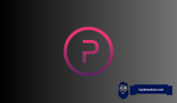 Why is Polymesh (POLYX) Price Up By 85%?