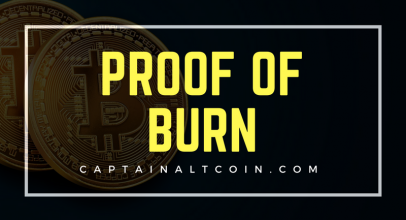 Alternative Consensus Methods: Proof of Burn