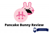 Pancake Bunny Test & Prognose 2024 – 2025 – 2030