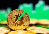 Investor Rush: How Bitcoin Halving is Influencing These Presales