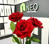 NEO continues with positive updates; price doesn’t quite follow suit