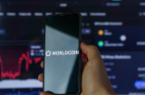 Worldcoin Launches With Unclear Token Distribution While DigiToads Presale Attracts Crypto Whales
