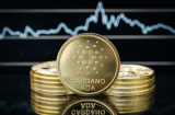 Here’s 3 Reasons Cardano Price Should Pump to $0.5, While Wall Street Memes Presale Hits $18.7 Million