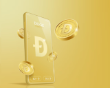 Tesla Retains Dogecoin (DOGE) But Drops Bitcoin (BTC) – What Does it Mean for DigiToads (TOADS)?
